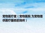 寵物醫(yī)療室（寵物醫(yī)院 為寵物提供醫(yī)療服務(wù)的場所）