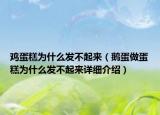 雞蛋糕為什么發(fā)不起來(lái)（鵝蛋做蛋糕為什么發(fā)不起來(lái)詳細(xì)介紹）