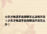 小天才電話手表微聊怎么沒有聲音（小天才電話手表微聊沒聲音怎么辦）