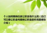 個(gè)人如何繳納住房公積金有什么用（自己可以繳公積金嗎繳納公積金的作用是哪些介紹）
