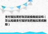 支付寶拉黑好友還能偷我能量嗎（怎么知道支付寶好友把我拉黑或刪除）