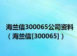 海蘭信300065公司資料（海蘭信[300065]）