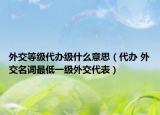 外交等級代辦級什么意思（代辦 外交名詞最低一級外交代表）