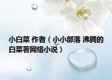 小白菜 作者（小小部落 沸騰的白菜著網(wǎng)絡(luò)小說）