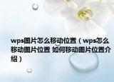wps圖片怎么移動位置（wps怎么移動圖片位置 如何移動圖片位置介紹）