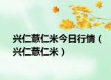興仁薏仁米今日行情（興仁薏仁米）