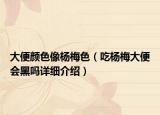 大便顏色像楊梅色（吃楊梅大便會黑嗎詳細(xì)介紹）