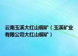 云南玉溪大紅山銅礦（玉溪礦業(yè)有限公司大紅山銅礦）