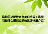 洛神花搭配什么有美白功效（洛神花和什么搭配減肥效果好詳細(xì)介紹）