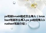 ps筆刷brush格式怎么導(dǎo)入（brushset筆刷怎么導(dǎo)入ps ps如何導(dǎo)入brushset筆刷介紹）