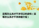 藍莓怎么洗才干凈可以吃皮嗎（藍莓怎么洗才干凈詳細介紹）