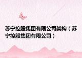 蘇寧控股集團有限公司架構(gòu)（蘇寧控股集團有限公司）
