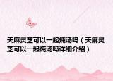 天麻靈芝可以一起燉湯嗎（天麻靈芝可以一起燉湯嗎詳細(xì)介紹）