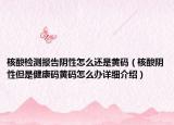 核酸檢測(cè)報(bào)告陰性怎么還是黃碼（核酸陰性但是健康碼黃碼怎么辦詳細(xì)介紹）