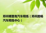 鄭州哪里有汽車陪練（鄭州路暢汽車陪練中心）