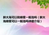 胖大?？梢院头涿垡黄鹋輪幔ㄅ执蠛７涿劭梢砸黄鹋輪嵩敿毥榻B）