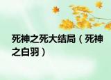 死神之死大結(jié)局（死神之白羽）