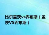 比爾蓋茨vs喬布斯（蓋茨VS喬布斯）
