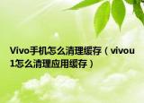 Vivo手機(jī)怎么清理緩存（vivou1怎么清理應(yīng)用緩存）