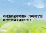 不打激素的草莓圖片（草莓打了激素是什么樣子詳細(xì)介紹）
