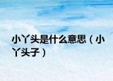 小丫頭是什么意思（小丫頭子）