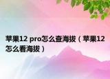 蘋果12 pro怎么查海拔（蘋果12怎么看海拔）