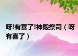 呀!有喜了!神殿祭司（呀有喜了）