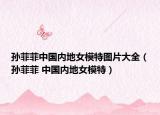 孫菲菲中國內(nèi)地女模特圖片大全（孫菲菲 中國內(nèi)地女模特）