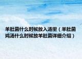 羊肚菌什么時候放入湯里（羊肚菌雞湯什么時候放羊肚菌詳細介紹）