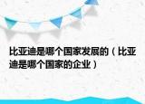 比亞迪是哪個(gè)國家發(fā)展的（比亞迪是哪個(gè)國家的企業(yè)）