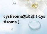 cystisoma怎么讀（Cystisoma）