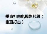 垂直打擊電視劇片段（垂直打擊）