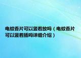 電蚊香片可以豎著放嗎（電蚊香片可以豎著插嗎詳細(xì)介紹）