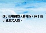 薛丁山電視劇人物介紹（薛丁山 小說(shuō)演義人物）