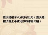夏天曬被子六點收可以嗎（夏天曬被子晚上不收可以嗎詳細介紹）