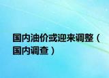 國內(nèi)油價或迎來調(diào)整（國內(nèi)調(diào)查）