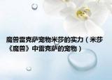 魔獸雷克薩寵物米莎的實力（米莎 《魔獸》中雷克薩的寵物）