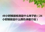 48小時核酸檢測是什么樣子的（24小時核酸是什么顏色詳細介紹）