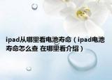 ipad從哪里看電池壽命（ipad電池壽命怎么查 在哪里看介紹）