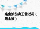 路金波前妻王蕾近況（路金波）