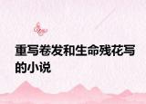 重寫卷發(fā)和生命殘花寫的小說(shuō)