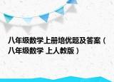 八年級(jí)數(shù)學(xué)上冊(cè)培優(yōu)題及答案（八年級(jí)數(shù)學(xué) 上人教版）
