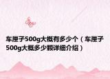 車?yán)遄?00g大概有多少個(gè)（車?yán)遄?00g大概多少顆詳細(xì)介紹）