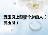 龐玉良上蔡哪個鄉(xiāng)的人（龐玉良）
