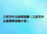 三伏天什么時(shí)間泡腳（三伏天什么意思啊詳細(xì)介紹）