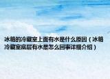 冰箱的冷藏室上面有水是什么原因（冰箱冷藏室底層有水是怎么回事詳細介紹）