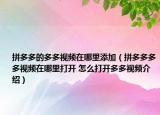 拼多多的多多視頻在哪里添加（拼多多多多視頻在哪里打開 怎么打開多多視頻介紹）