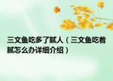 三文魚吃多了膩人（三文魚吃著膩怎么辦詳細(xì)介紹）