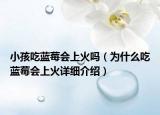 小孩吃藍(lán)莓會上火嗎（為什么吃藍(lán)莓會上火詳細(xì)介紹）