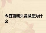 今日更新頭發(fā)掉是為什么